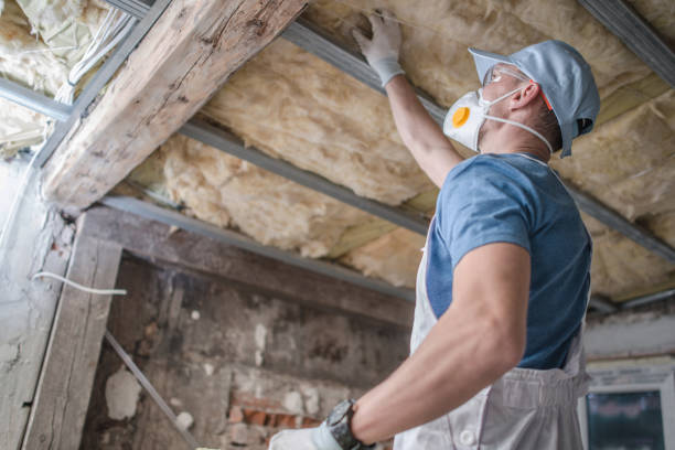 Best Home Insulation Services  in Meadows Place, TX