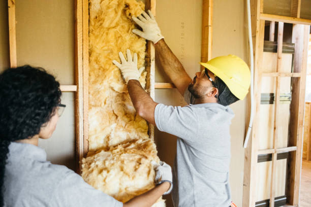 Best Spray Foam Insulation  in Meadows Place, TX