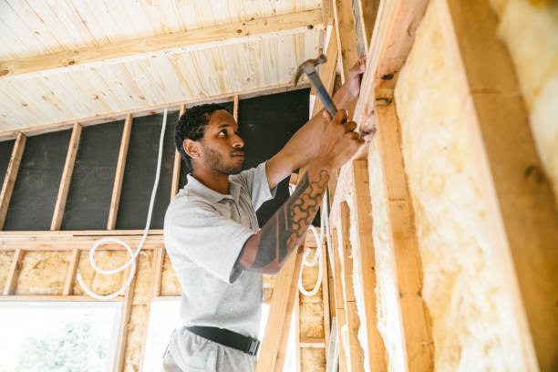 Best Professional Insulation Contractor  in Meadows Place, TX