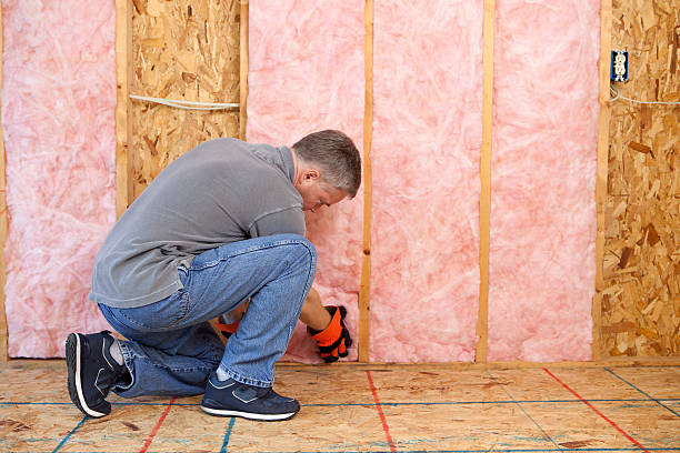 Best Soundproof Insulation Installation  in Meadows Place, TX