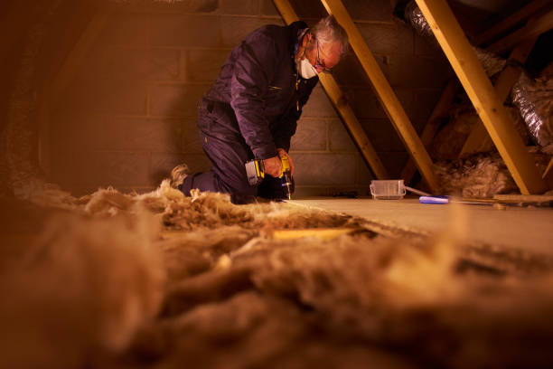 Best Insulation Removal Services  in Meadows Place, TX