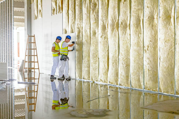 Insulation Replacement Services in Meadows Place, TX